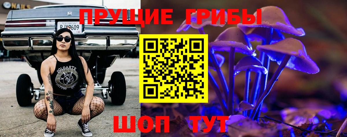 Галлюциногенные грибы Cubensis Архангельск