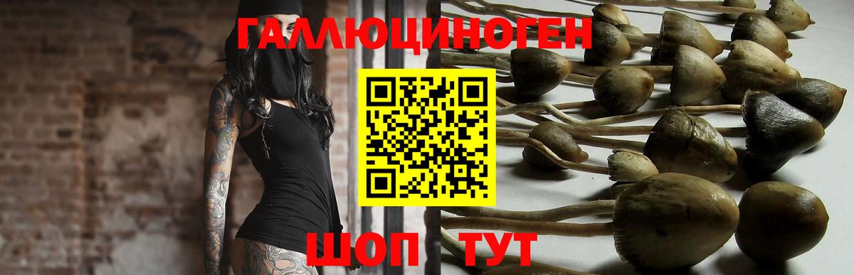 Архангельск  Псилоцибиновые грибы Cubensis  где купить наркоту  Вход с VPN 